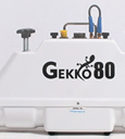 Photo of a Gekko-80